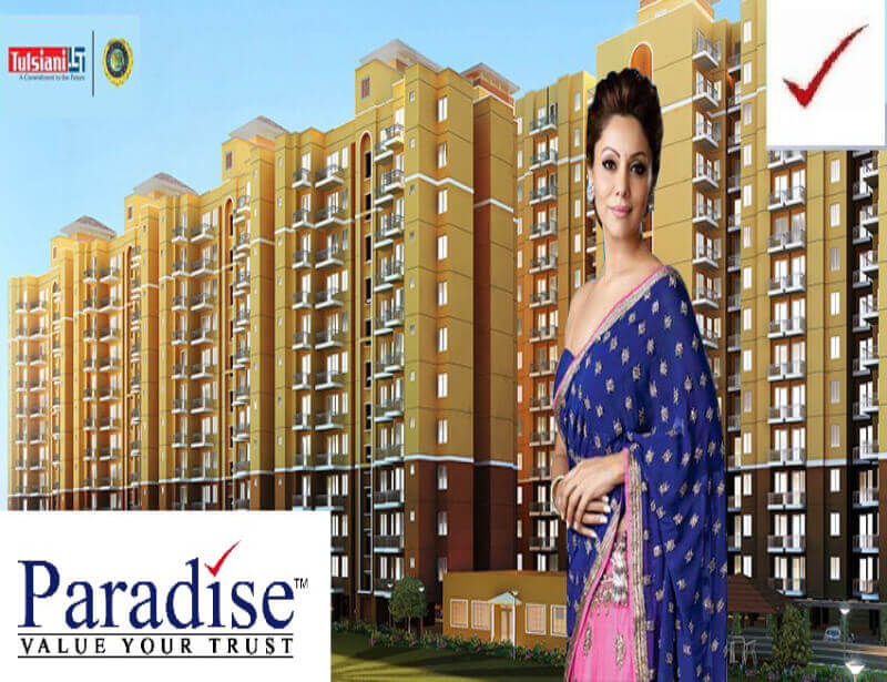 Paradise Consulting Tulsiani